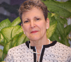 Linda_R_Feinberg Linda R. Feinberg, NJ mediation lawyer, mercer county environmental lawyer, civil litigation attorney