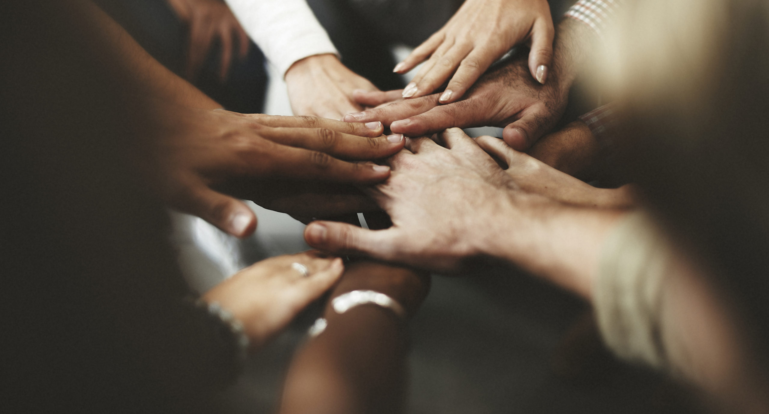 diversity and inclusion